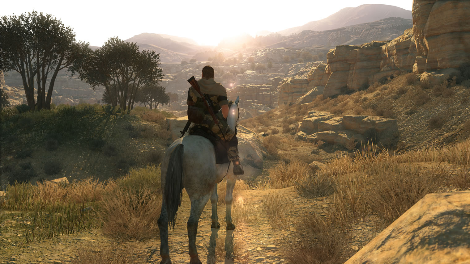 Image de Metal Gear Solid V : The Phantom Pain